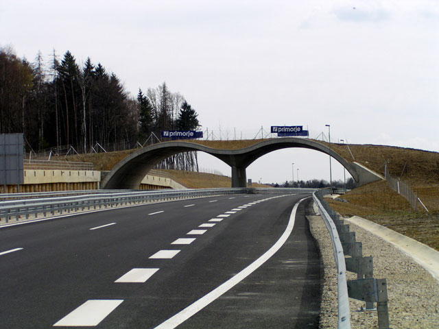 Avtocestni odsek, Lenart – Spodnja Senarska in Spodnja Senarska – Cogetinci